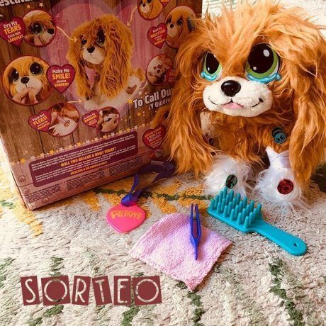 sorteo rescue runts