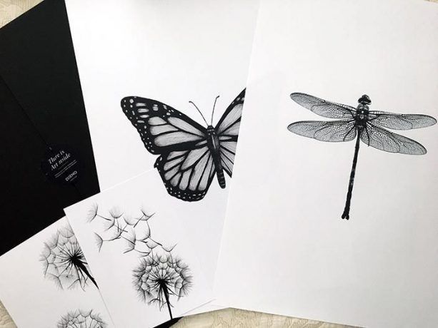 laminas desenio