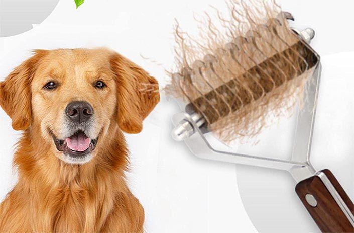 mejores cepillos para perros baratos