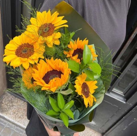 regalar un girasol