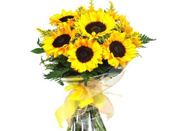 regalar girasoles