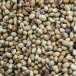 What New Growers Actually Care About